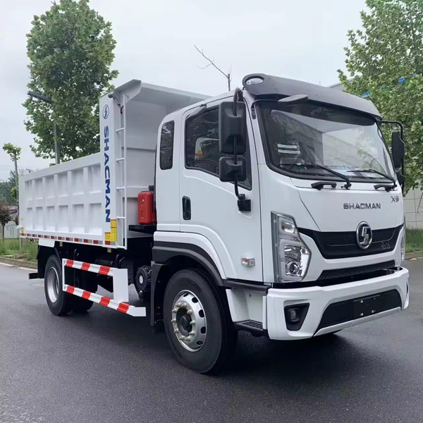 SHACMAN 4X2 dump truck
